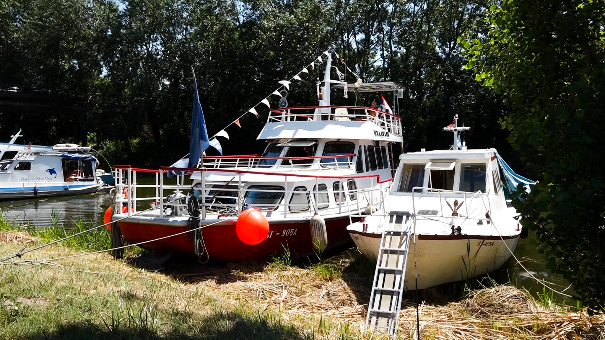 Brod regata