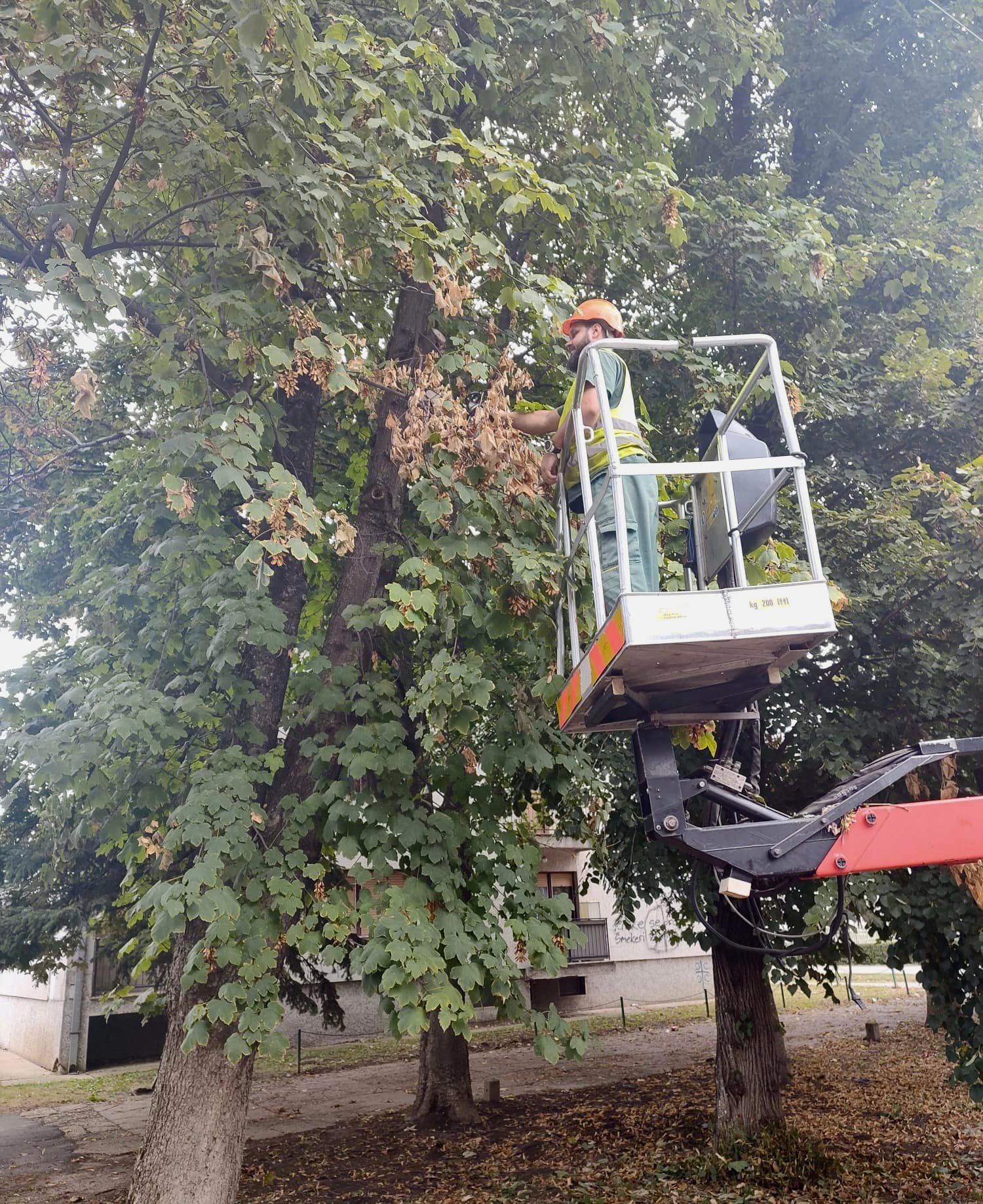 Радови