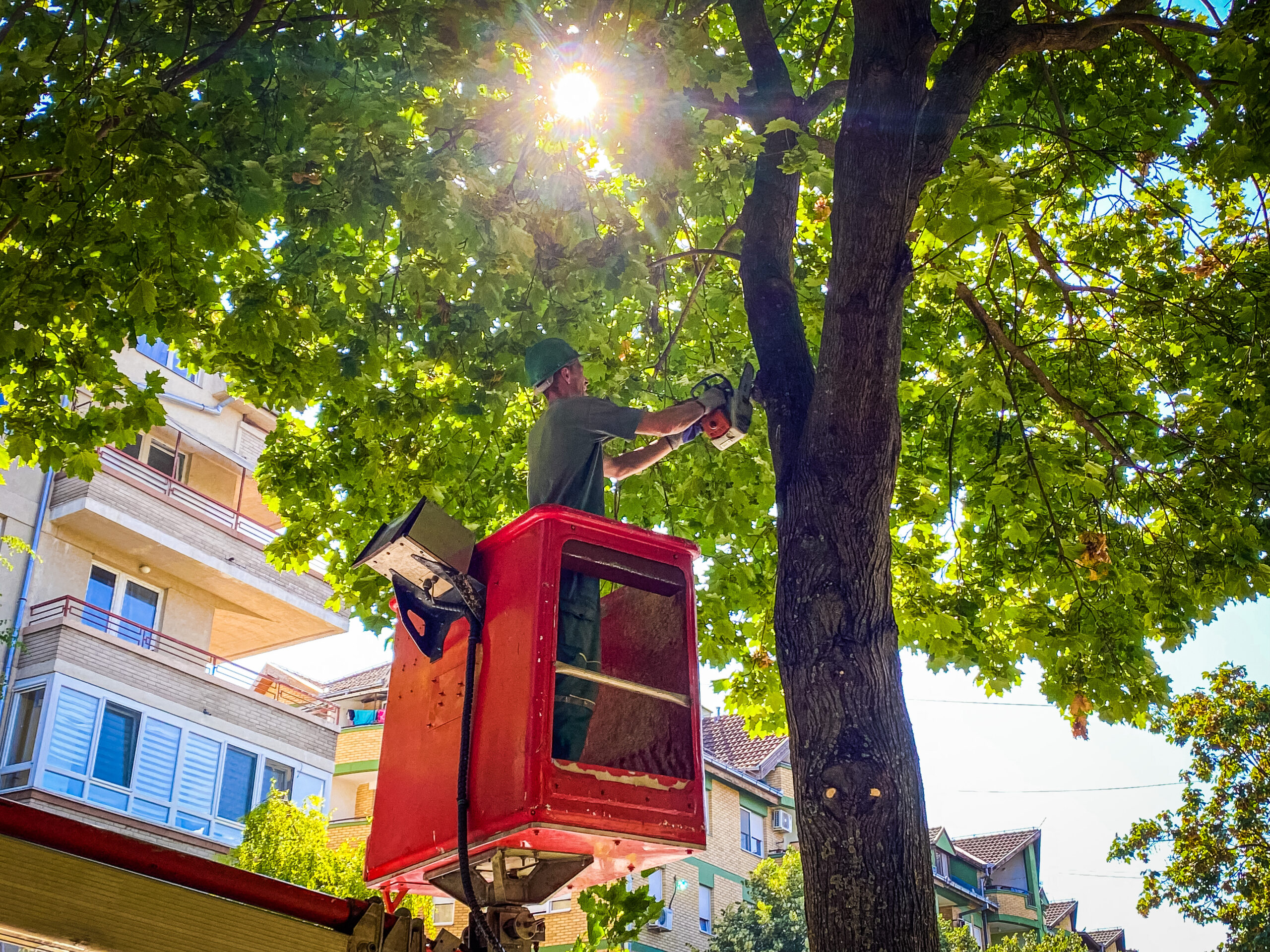 Uređenje grada Sombora