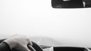 Voznja u magli