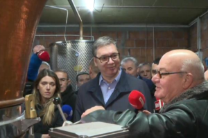 Vucic