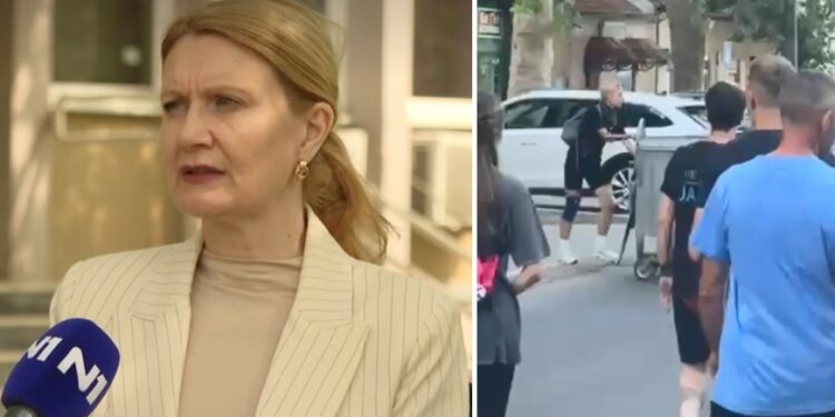 Тужилачко-контејнерска мафија терорише Панчево по УСАИД програму