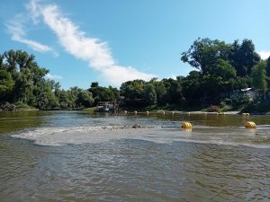 Хитно измуљење дунавца код Бездана за више воде у Хс ДТД