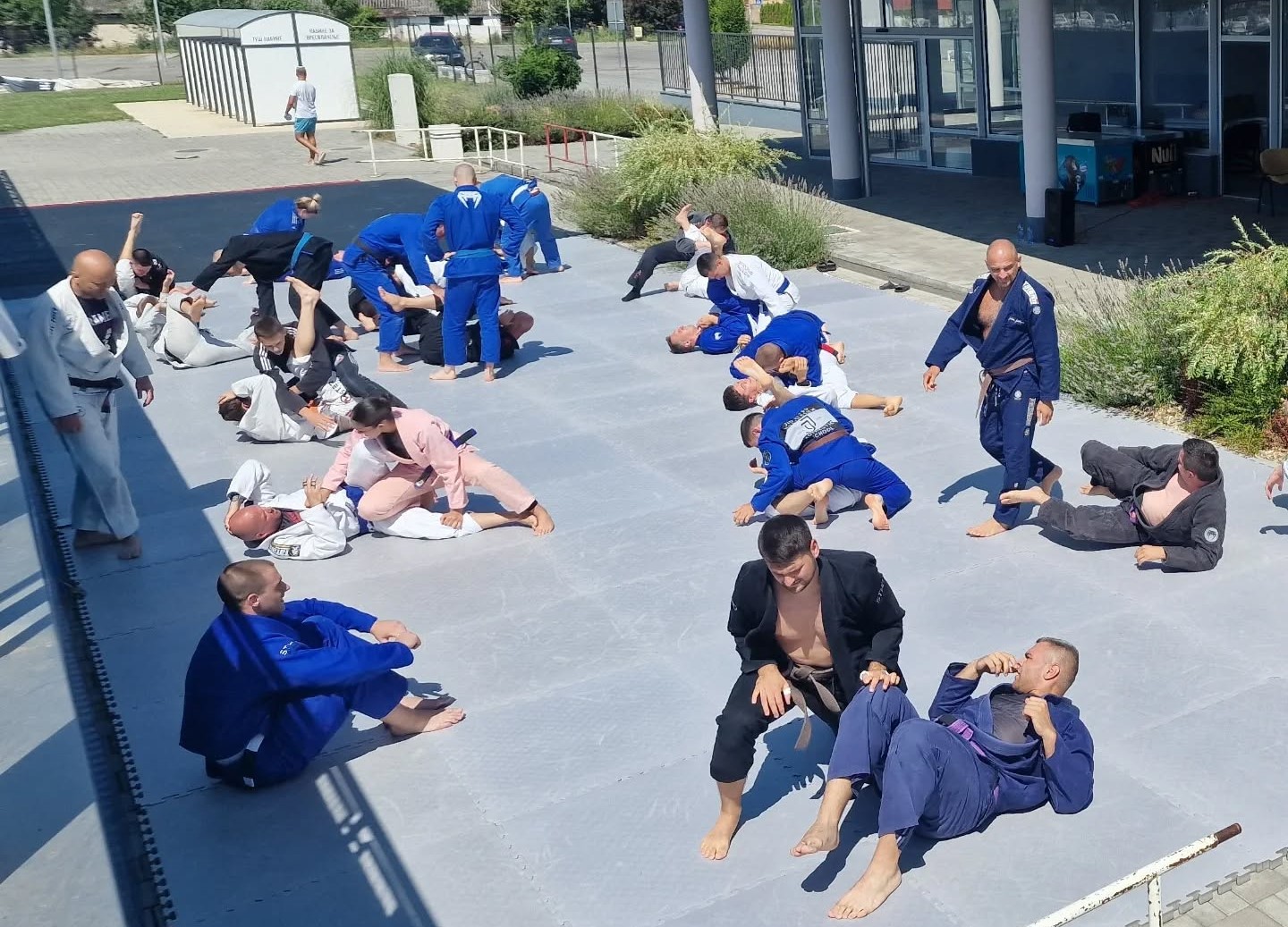 „Џиу џицу камп“ окупио велики број учесника