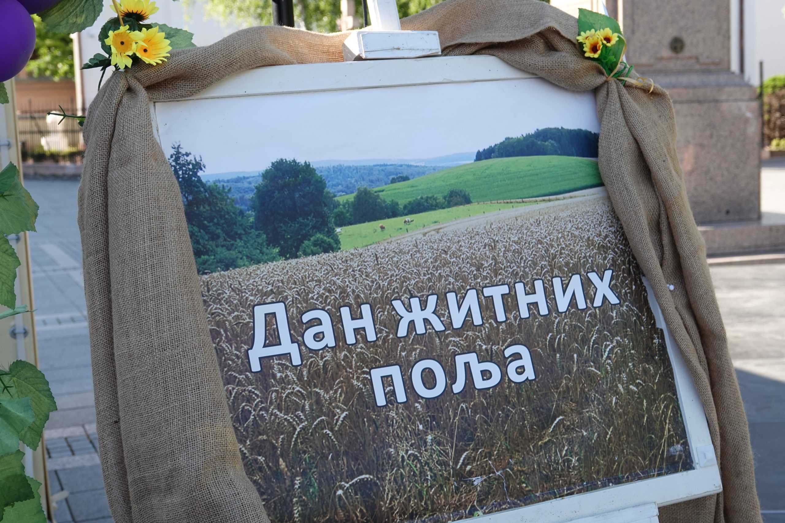 (ФОТО) Одржан „Дан житних поља“