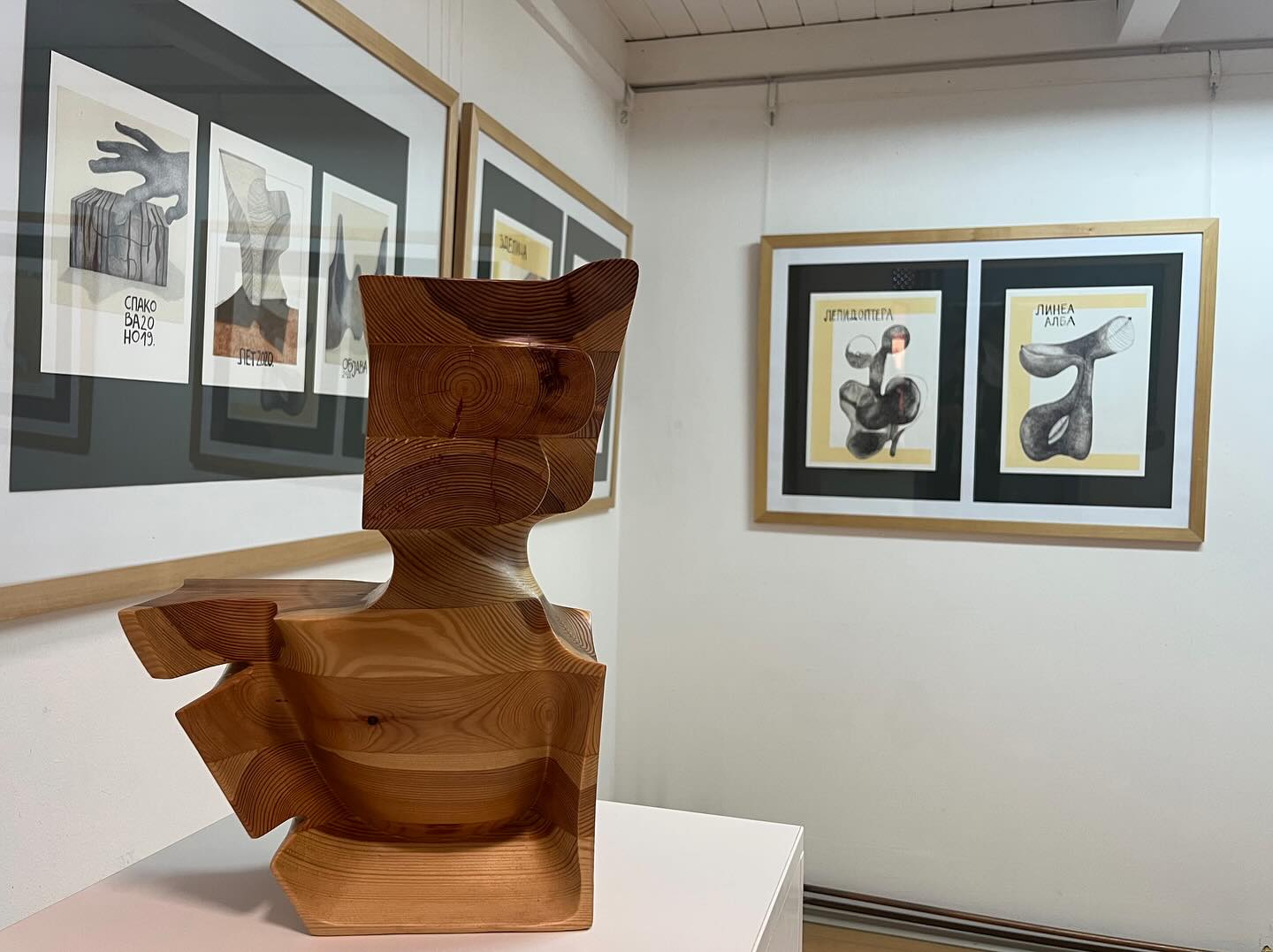 „Постеризација“ доступна грађанима до 24. октобра