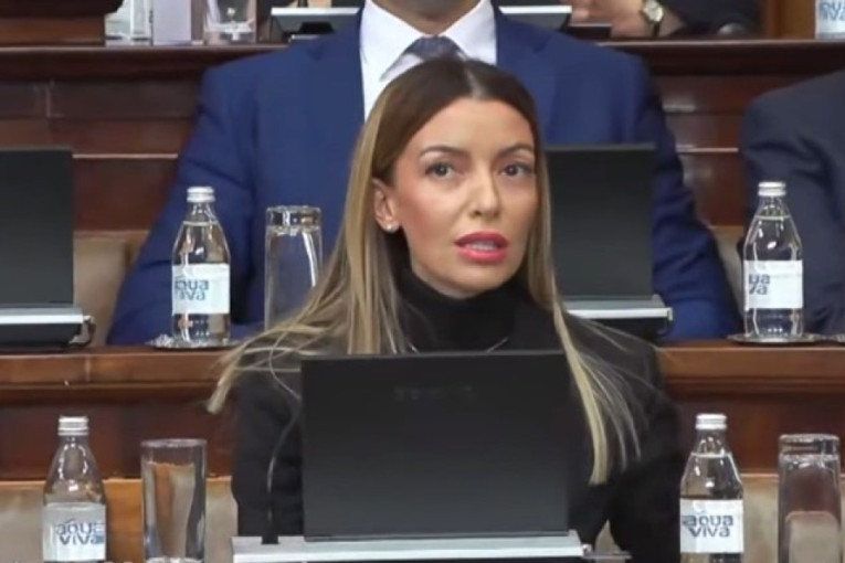 Месаровић очитала лекцију тајкуну: "Ђиласе, ти си лажов и лопов, и то одавно нема потребе да се доказује!"