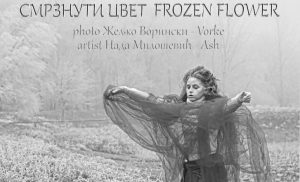 Izložba „Smrznuti cvet – Frozen flower“ u petak u Kuli