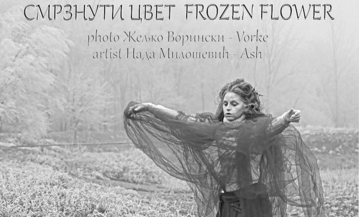 Izložba „Smrznuti cvet – Frozen flower“ u petak u Kuli