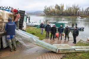 Ribolovna područja „Voda Vojvodine“ bogatija za 17.600 kg riblje mlađi