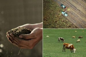 Три кључна програма за село: Исплаћено 97,6 милијарди динара
