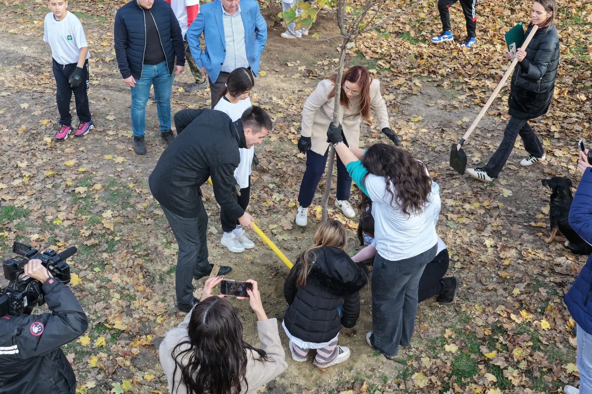 (FOTO) Nastavlja se ozelenjavanje grada Sombora