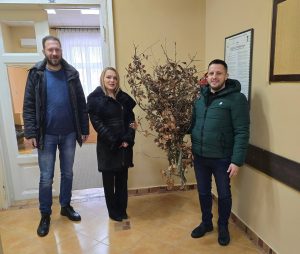 Оџаци: Бадњак унет у зграду Општинске управе