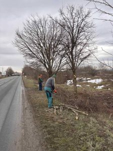 Apatin: Komunalne ekipe započele sezonsko sređivanje ulica