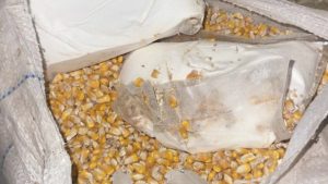 Сакрили скоро два килограма "спида" у кукуруз, полиција им нашла и пиштољ са муницијом: Ухапшена двојица у Руми