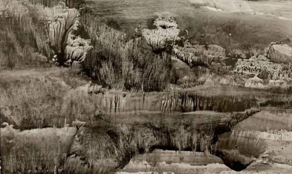 Изложба „Тамо где тишина говори“ од 6. фебруара у Галерији „Меандер“