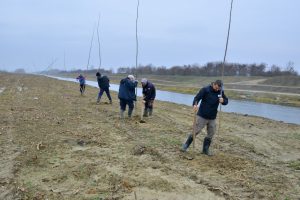 U ponedeljak počinje pošumljavanje u Crvenki