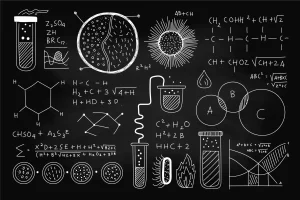 Učenice sedmog razreda uspešne na Opštinskom takmičenju iz fizike