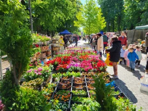 „Prolećni vašar“ u centru Apatina okuplja lokalne proizvođače i kreativce