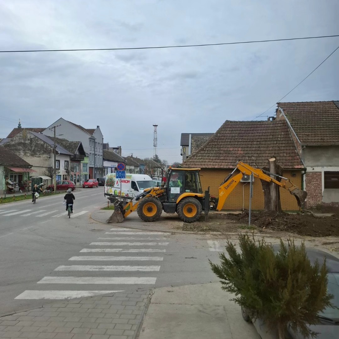 Uklonjeno oštećeno stablo u Odžacima