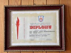 СУБНОР општине Апатин - пример чувара традиције и културе сећања