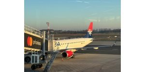 S?vedska-se-odrekla-svojih-gradjana-u-sred-rata-Snalazite-se-sami!-