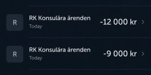 S?vedska-vlada-naplac?uje-spas-Evakuacija-avinom-iz-rata-kos?ta-50.000-kruna-