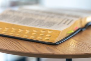 Прво место за Милану Дробњак на Окружном такмичењу из немачког језика