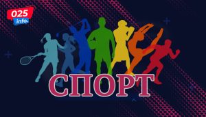 Апатински каратисти освојили 17 медаља на такмичењу у Суботици