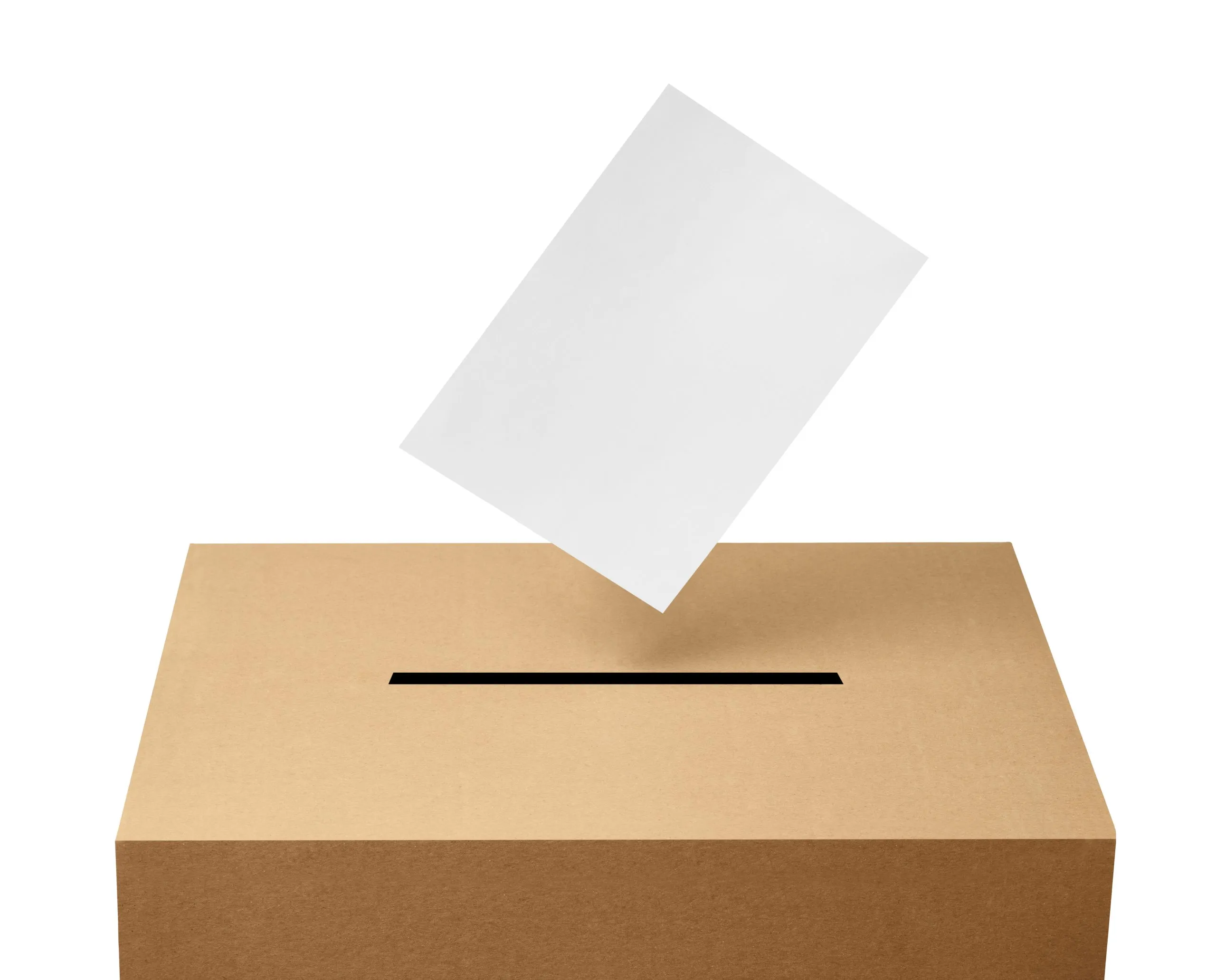 Објављени коначни резултати избора у Кули: Две листе у парламенту