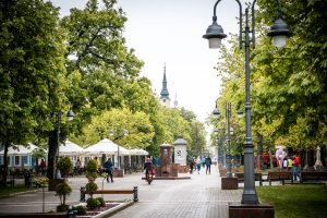 Међународни фестивал ракије у Апатину 20. јуна