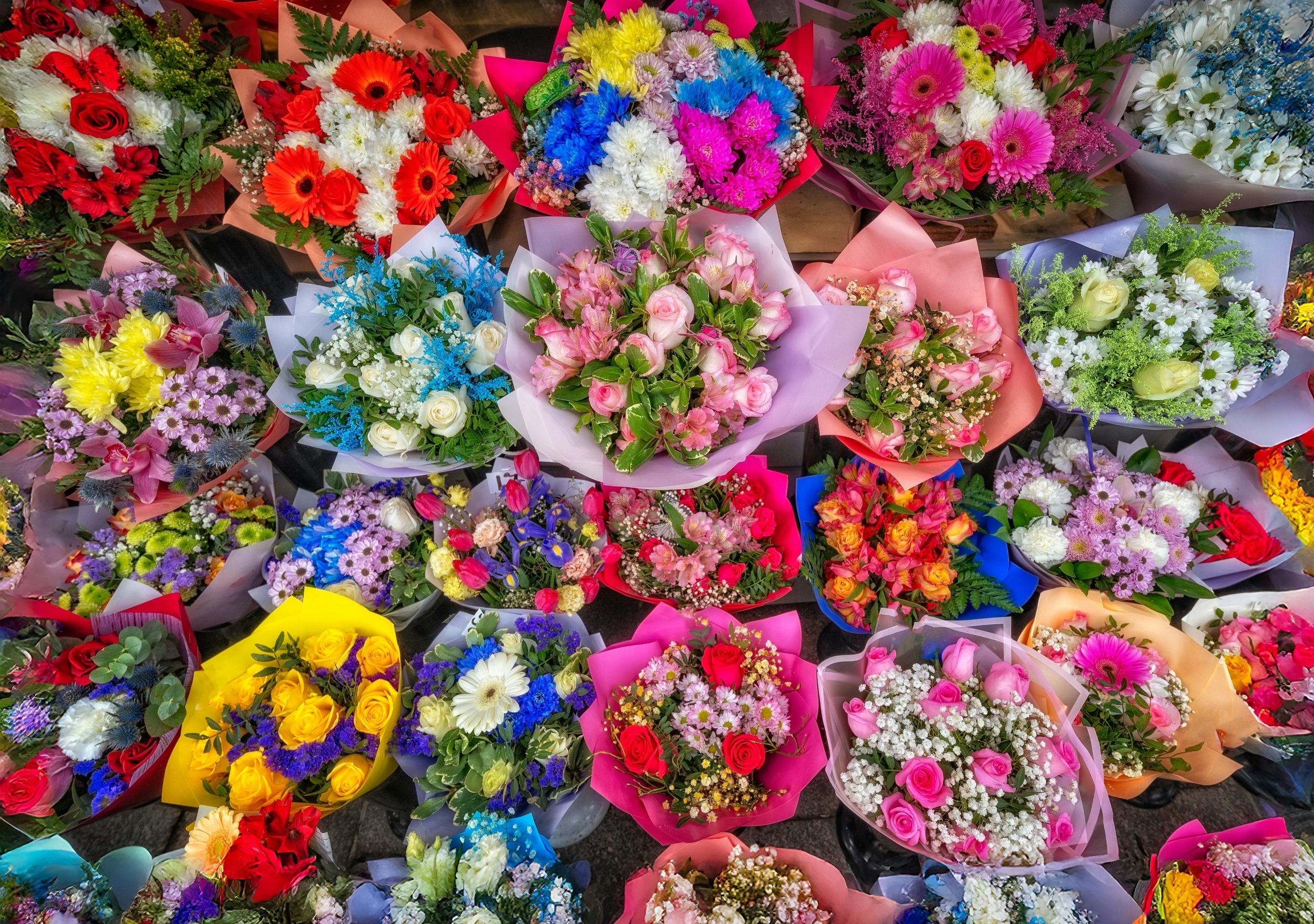 „Prolećni festival cveća“ u Kuli 17. i 18. aprila