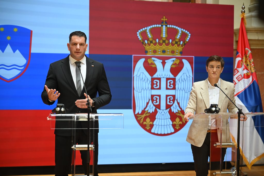 Стевановић: Припадницима националних мањина по Уставу Словеније загарантована права
