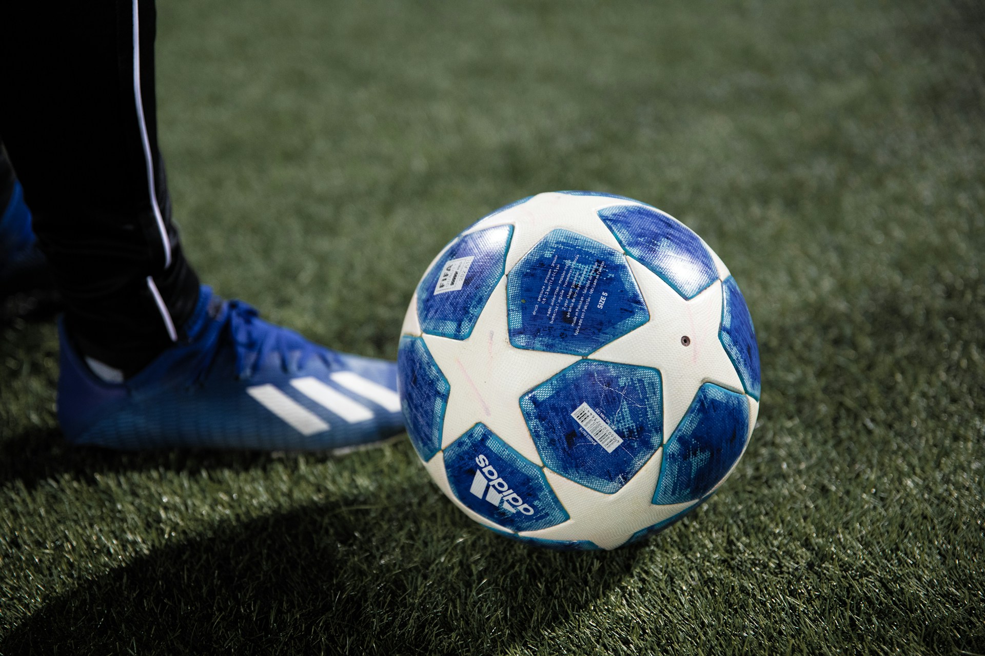 fudbal