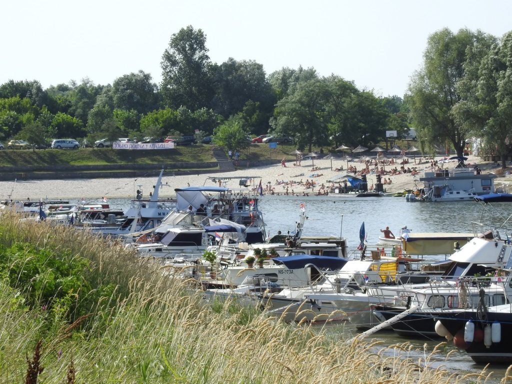 Апатин обележава Међународни дан Дунава уз Регату „Воде Војводине“ и богат вечерњи програм