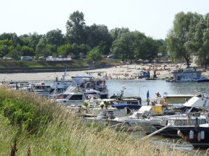 Апатин обележава Међународни дан Дунава уз Регату „Воде Војводине“ и богат вечерњи програм