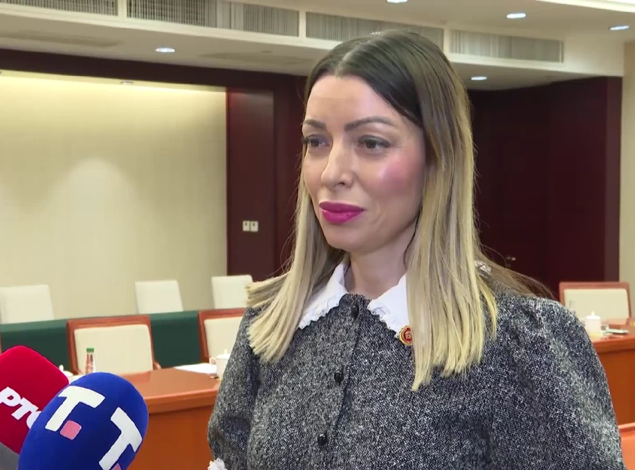 Месаровић са словачким министрима: Настављамо развој политичких и економских односа