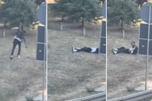 Жестока туча у срцу Београда! Блокадер се потукао са... травом?! (ВИДЕО)