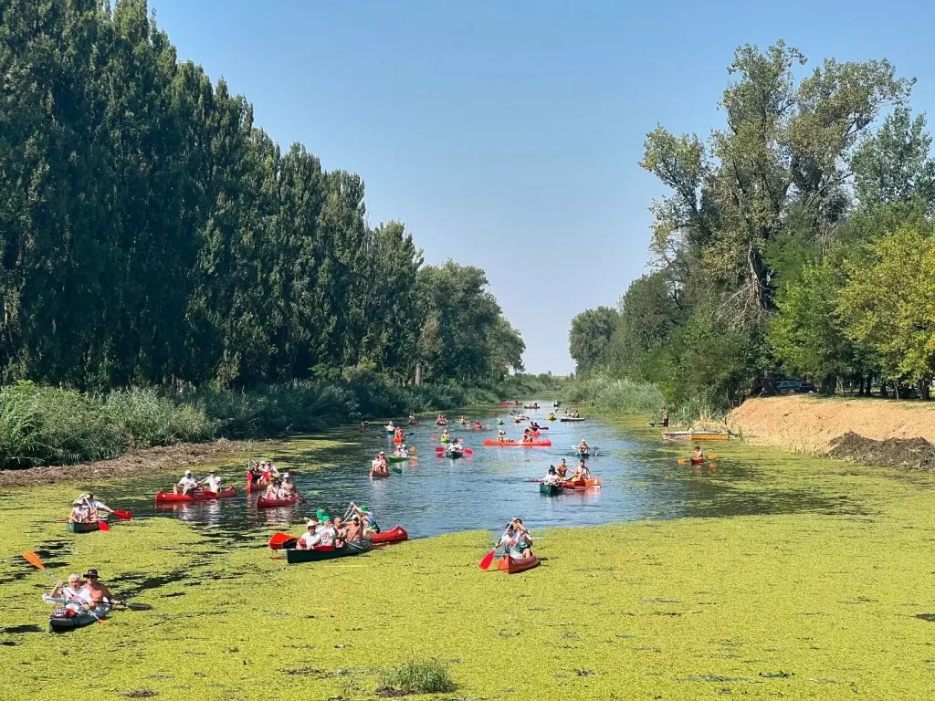 „Кулска регата“ одложена због ниског водостаја