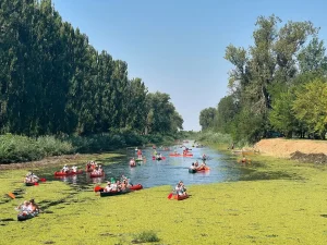 „Кулска регата“ одложена због ниског водостаја