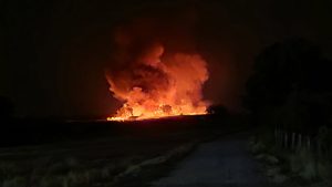 Велики пожар у Апатину: Ватра захватила пластенике, објекте и механизацију