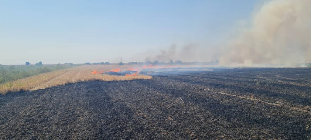 Пожар код „македонских винограда“: Изгорело око 20 јутара површине