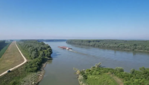 Дунав код Бездана кренуо да расте