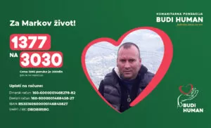 Budi human