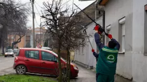 JKP Zelenilo