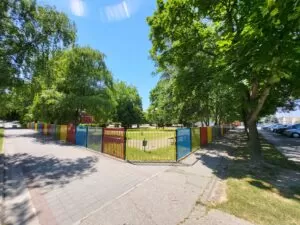 Сутра у Апатину „Бонсаи изложба“
