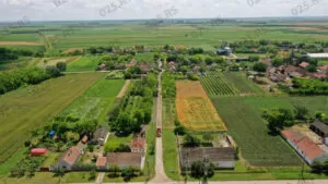 Rastina