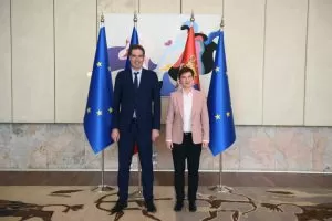 Ana Brnabić