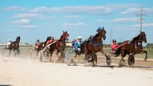 Kasaška trka Sombor Hipodrom