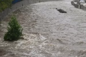Poplave